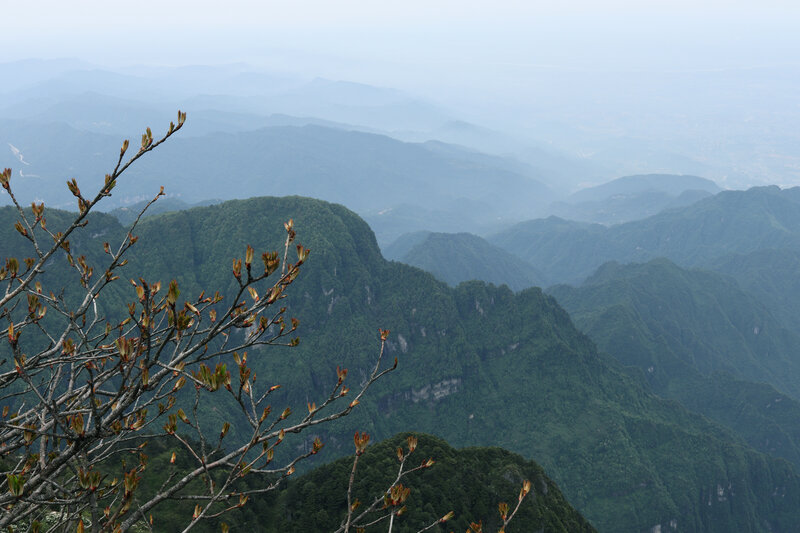 Mountain Range View — Green, Serene, Morning