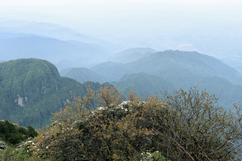 Mountain Range View — Green, Serene, Photograph