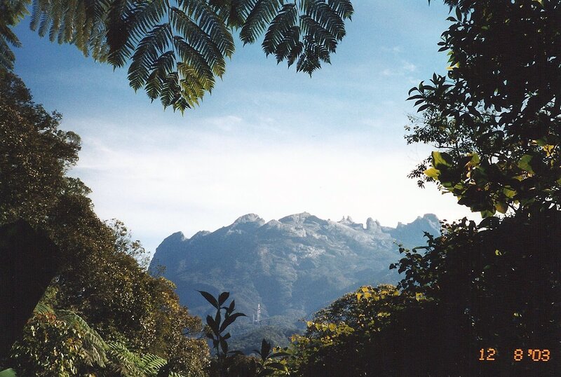 Mountain Range View — Green