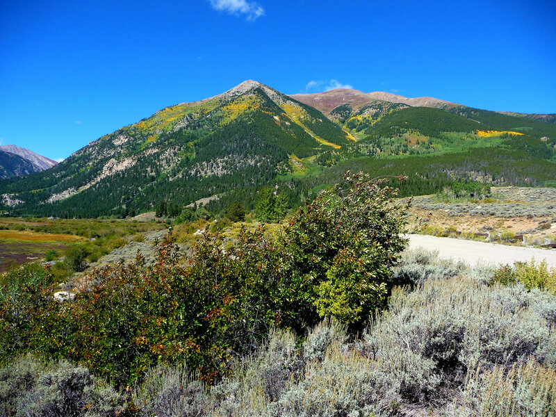 Mountain Range with Autumn Foliage