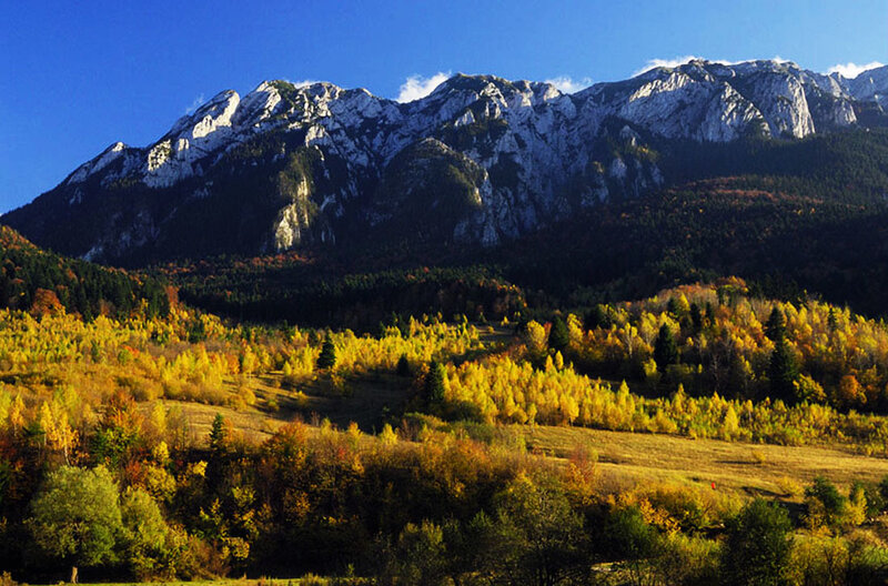 Mountain Range with Autumn Forest — Blue