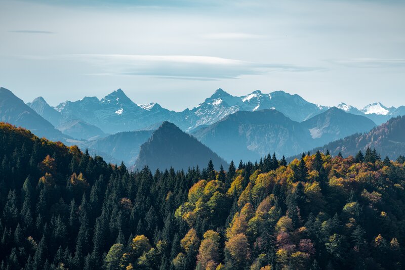 Mountain Range with Autumn Forest — Green