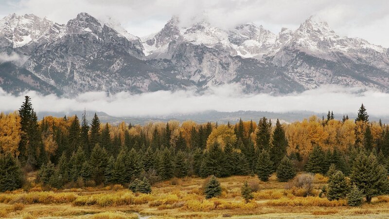mountain range with autumn forest