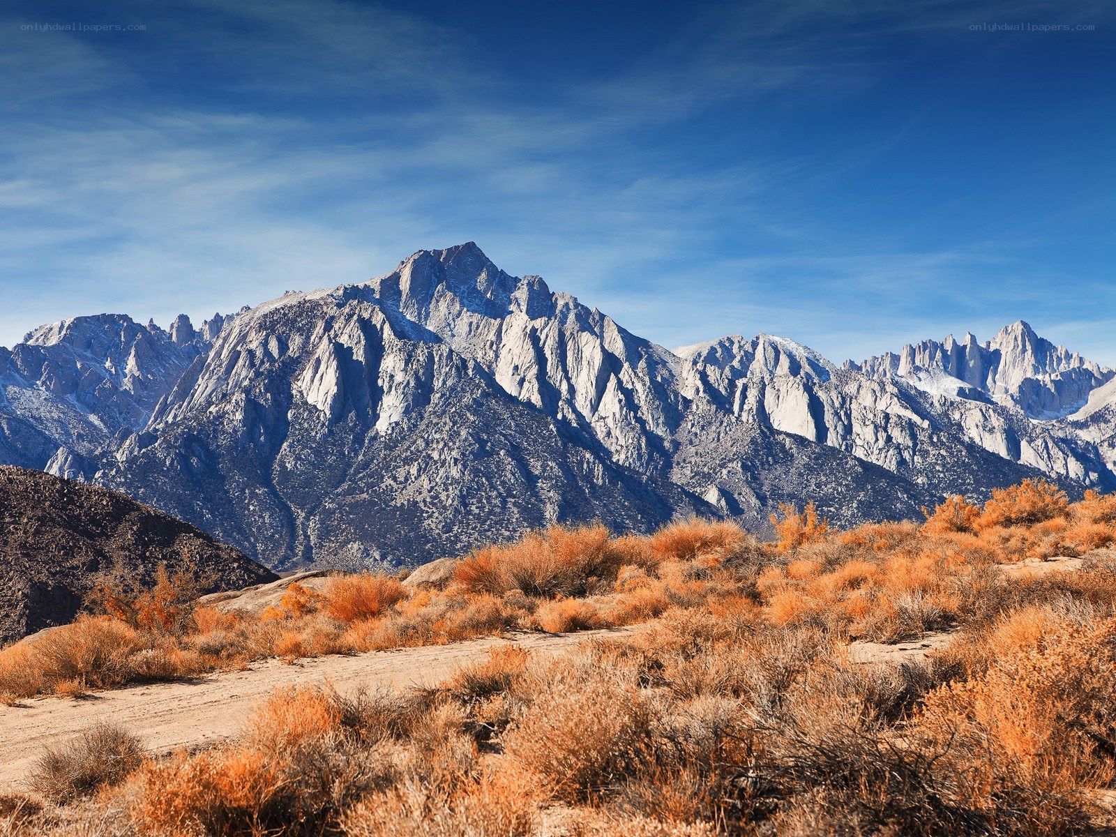 Mountain range with autumn shrubs