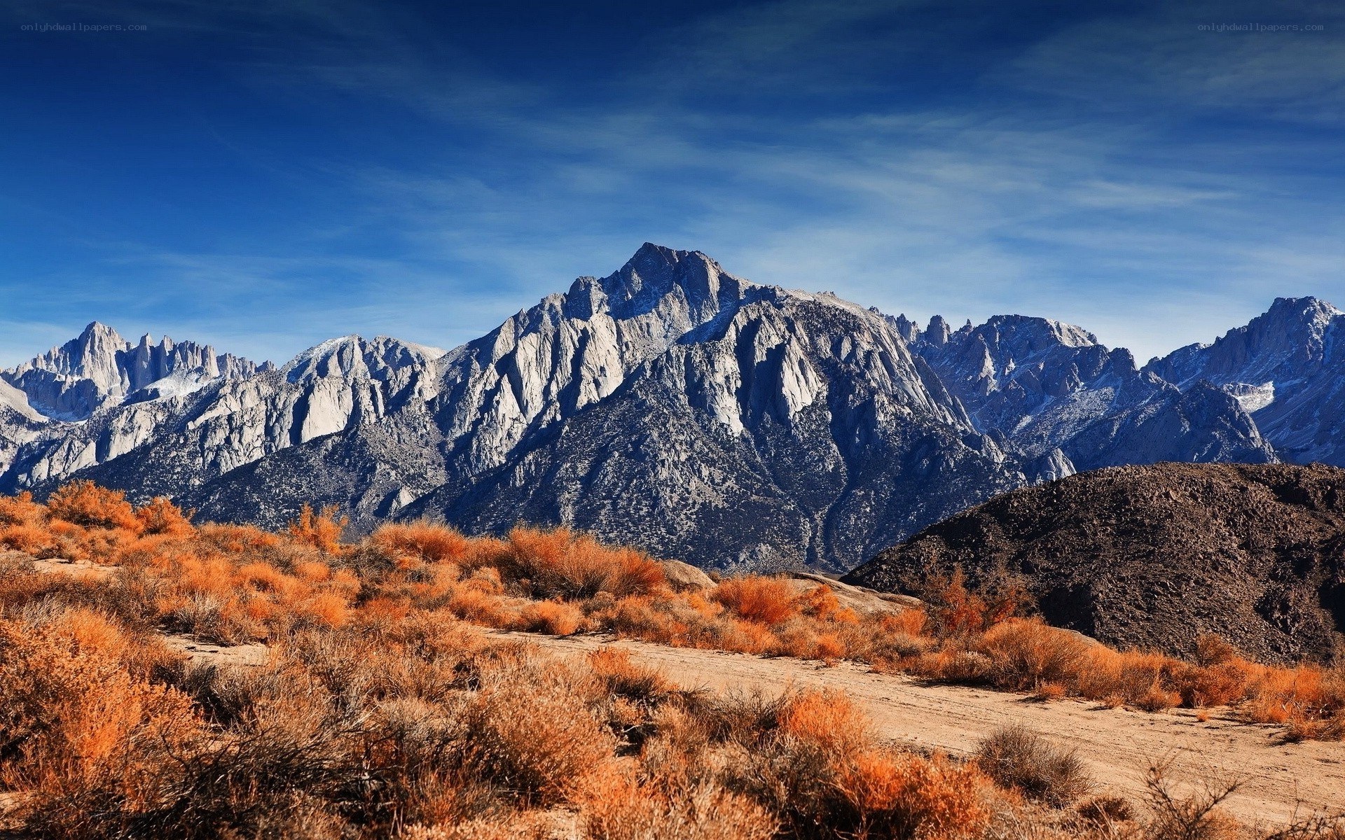 Mountain range with autumn shrubs