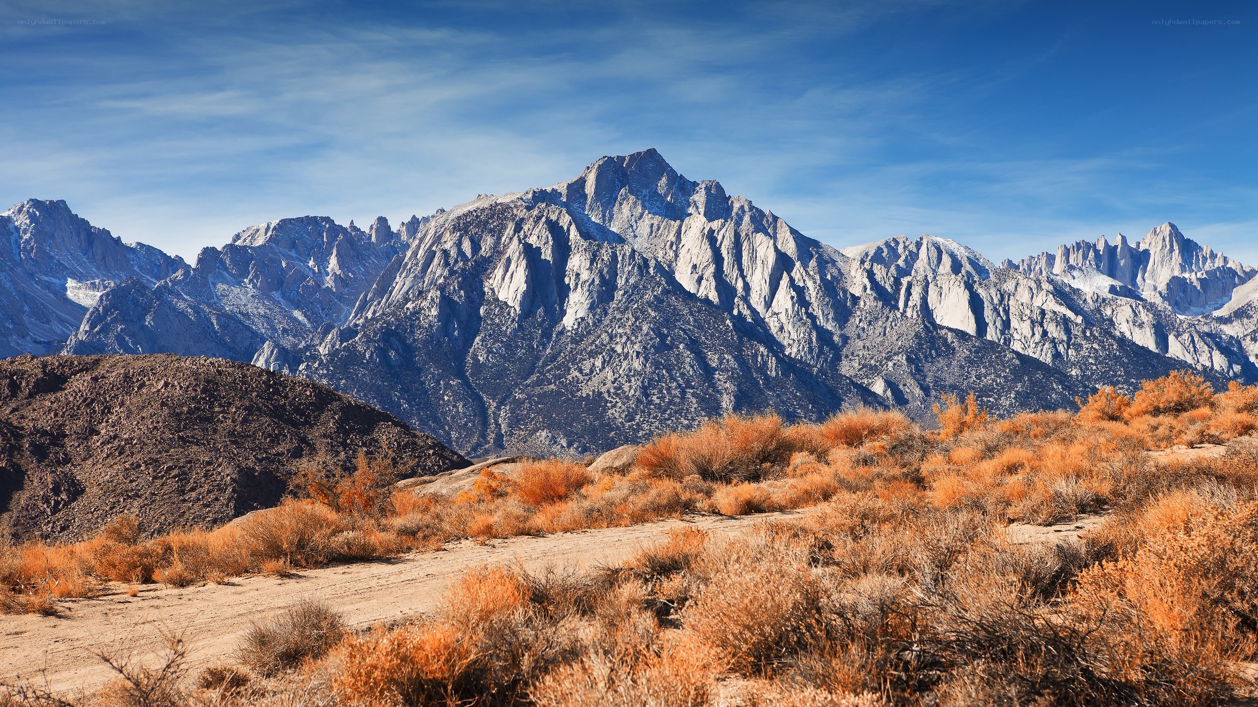 Mountain range with autumn shrubs