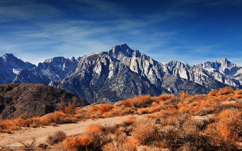 Mountain range with autumn shrubs
