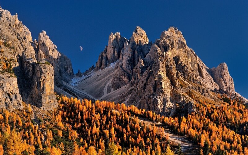 Mountain Range with Autumn Trees — Blue, Dramatic