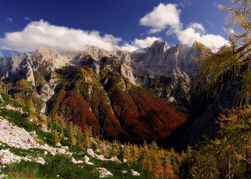 Mountain Range with Autumn Trees — Blue, Serene, Photograph, Rocks