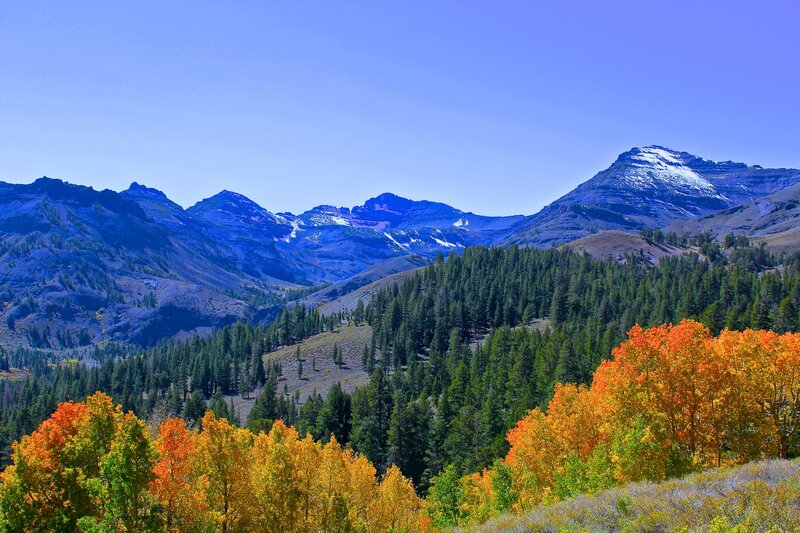 Mountain Range with Autumn Trees — Blue, Serene, Photograph, Snow
