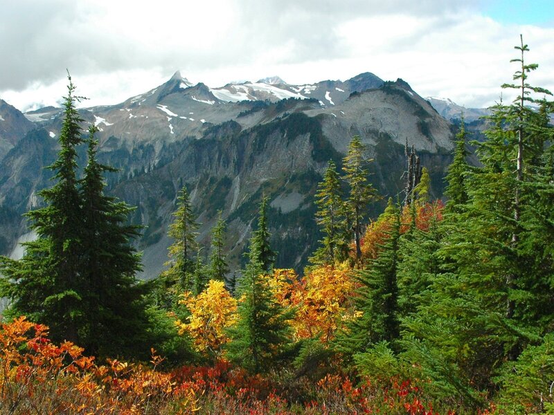 Mountain Range with Autumn Trees — Green, Serene