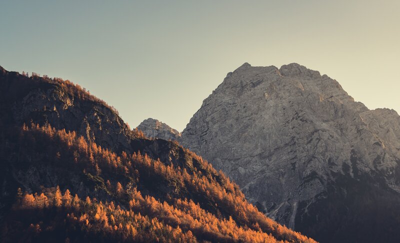 Mountain Range with Autumn Trees — Orange, Serene, Sunset