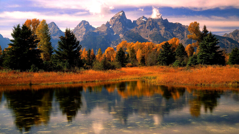 Mountain Range with Autumn Trees — Orange, Serene