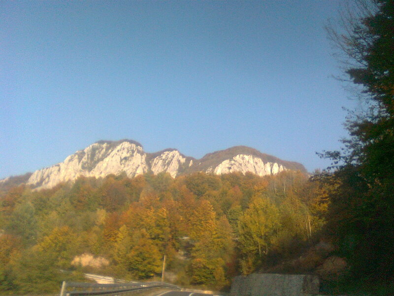 Mountain Range with Autumn Trees