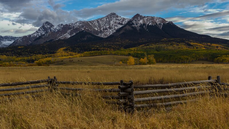 Mountain Range with Autumn Trees — Yellow, Serene