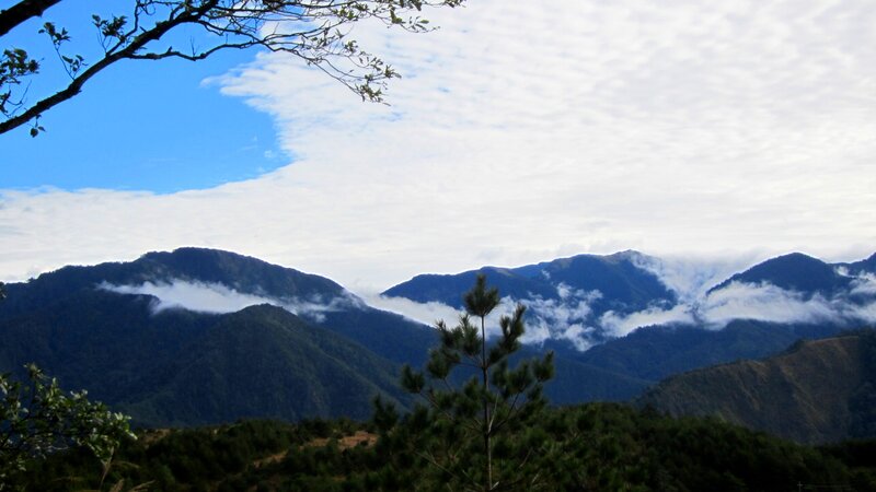 Mountain Range with Clouds — Blue, Serene, Morning, Photograph, Trees