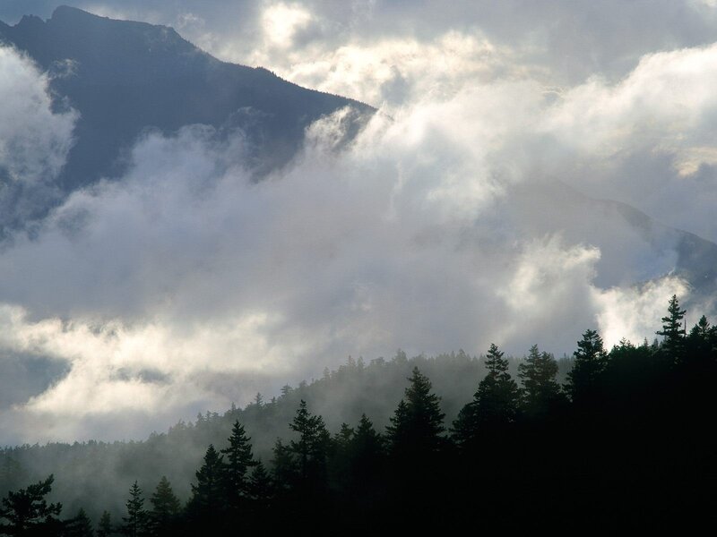 Mountain Range with Clouds — Gray, Dramatic, Photograph, Trees, Forest