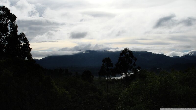 Mountain Range with Clouds — Gray, Overcast, Photograph, Trees