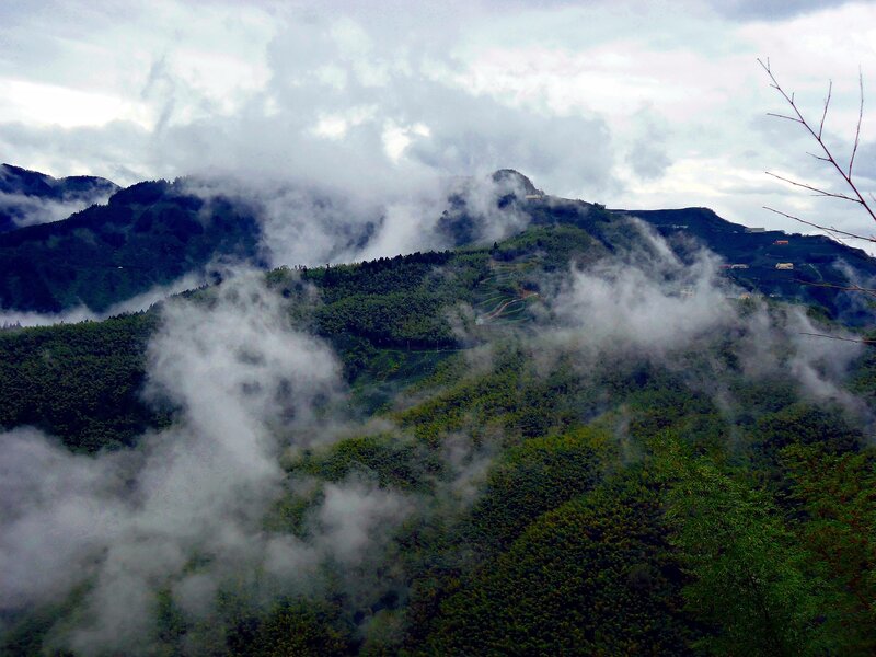 Mountain Range with Clouds — Green, Misty, Photograph, Trees, Hills