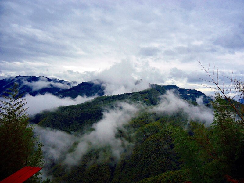 Mountain Range with Clouds — Green, Misty, Photograph, Trees