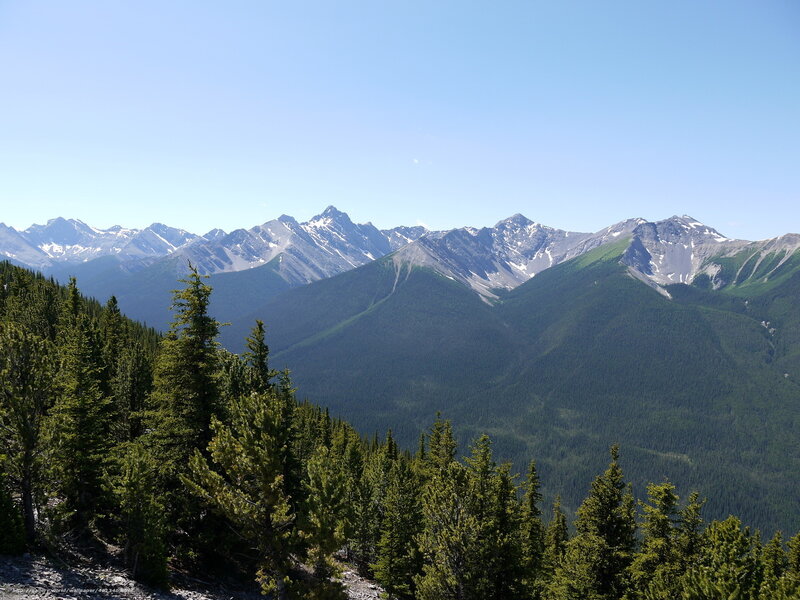 Mountain range with evergreen trees