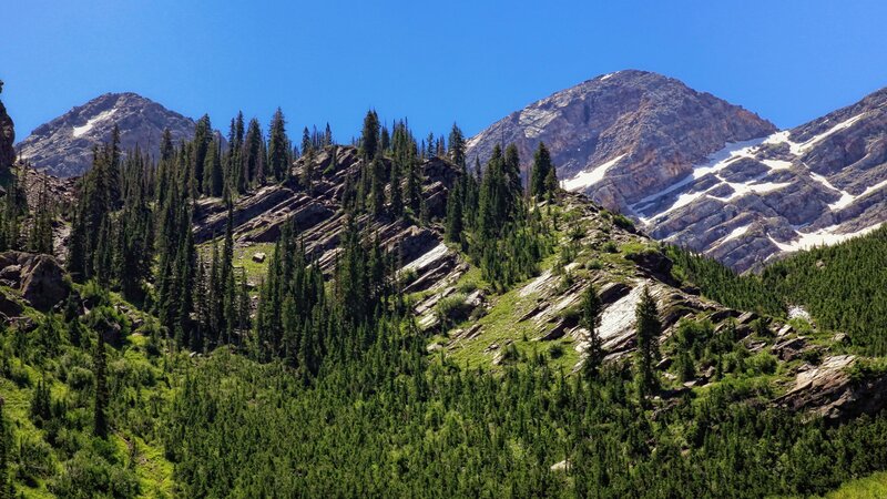 Mountain Range with Evergreens — Green, Serene, Summer