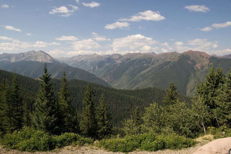 Mountain Range with Evergreens — Green