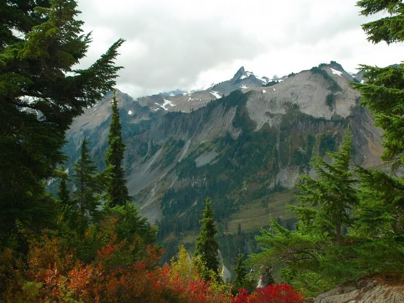 Mountain Range with Evergreens