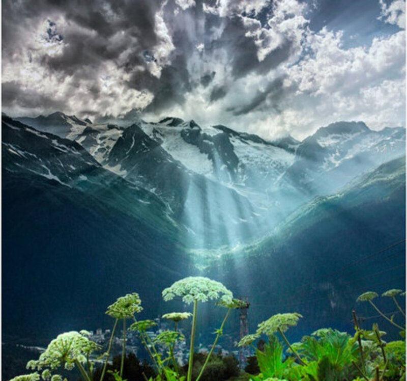 Mountain Range with Flowers — Green, Dramatic