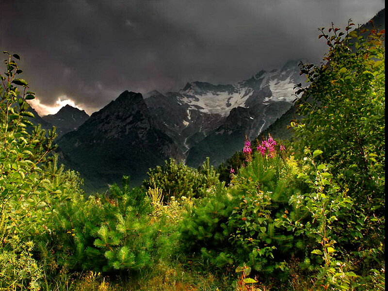 Mountain Range with Flowers — Green