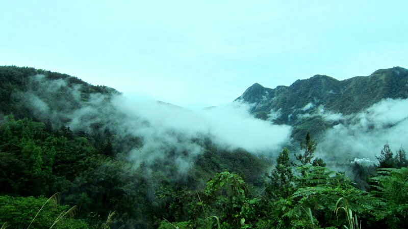 Mountain Range with Fog — Green, Misty