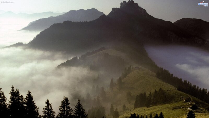 Mountain Range with Fog — Green, Serene, Morning