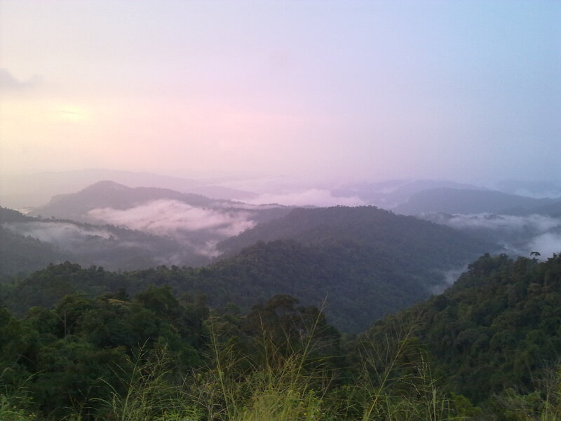 Mountain Range with Fog — Green, Serene