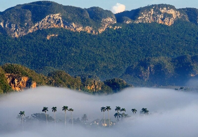Mountain Range with Fog — Green