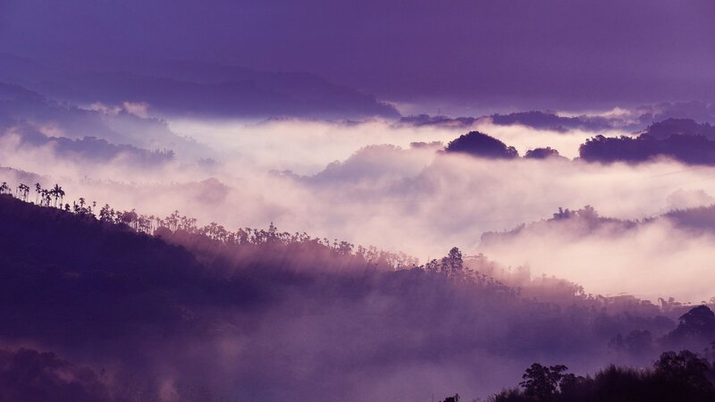 Mountain Range with Fog — Purple, Serene