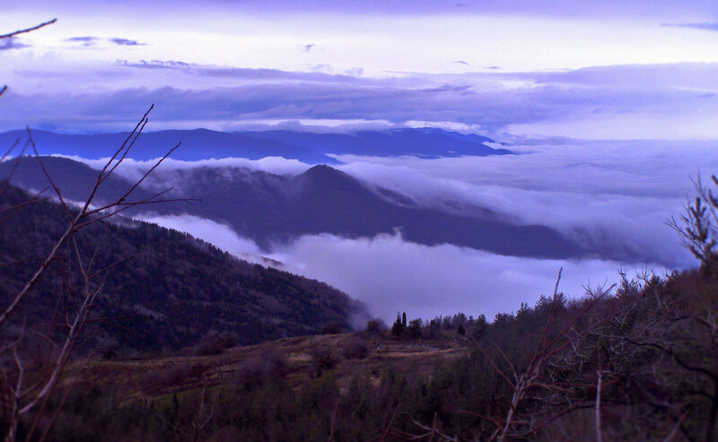 Mountain Range with Fog — Purple