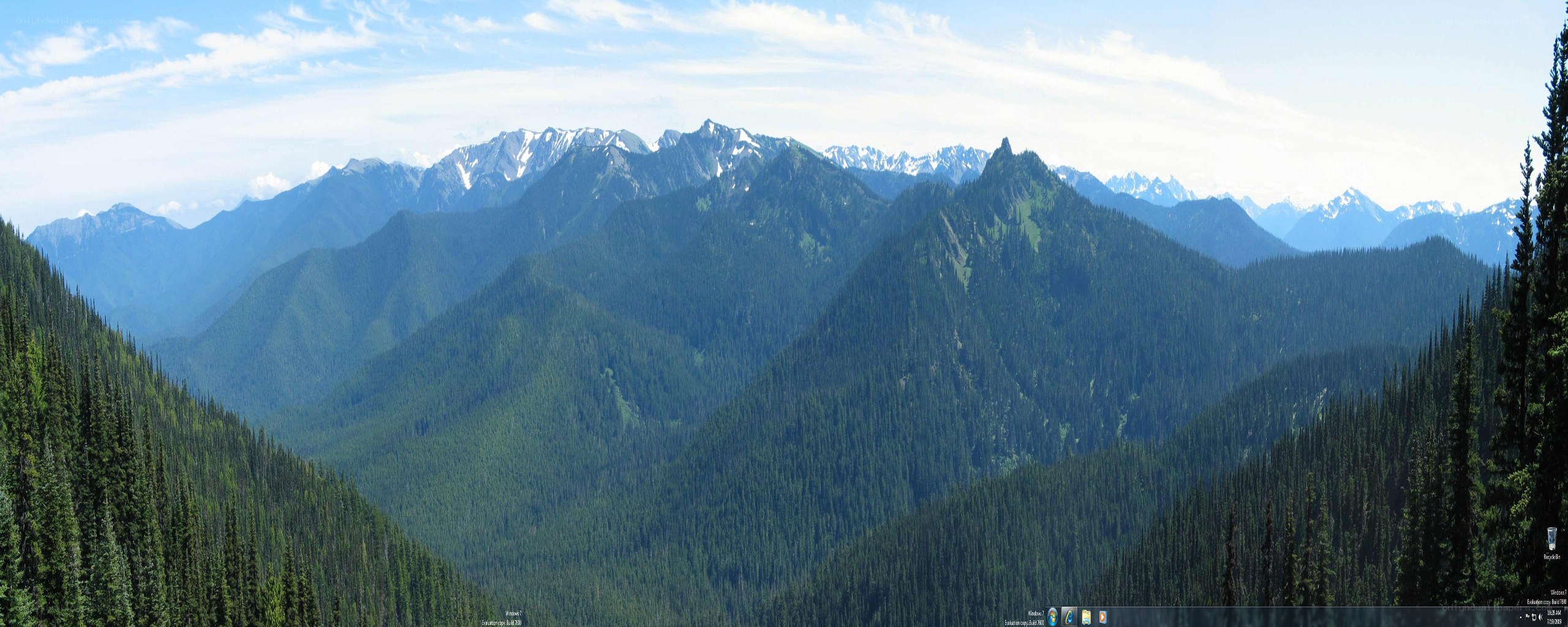 mountain range with forest
