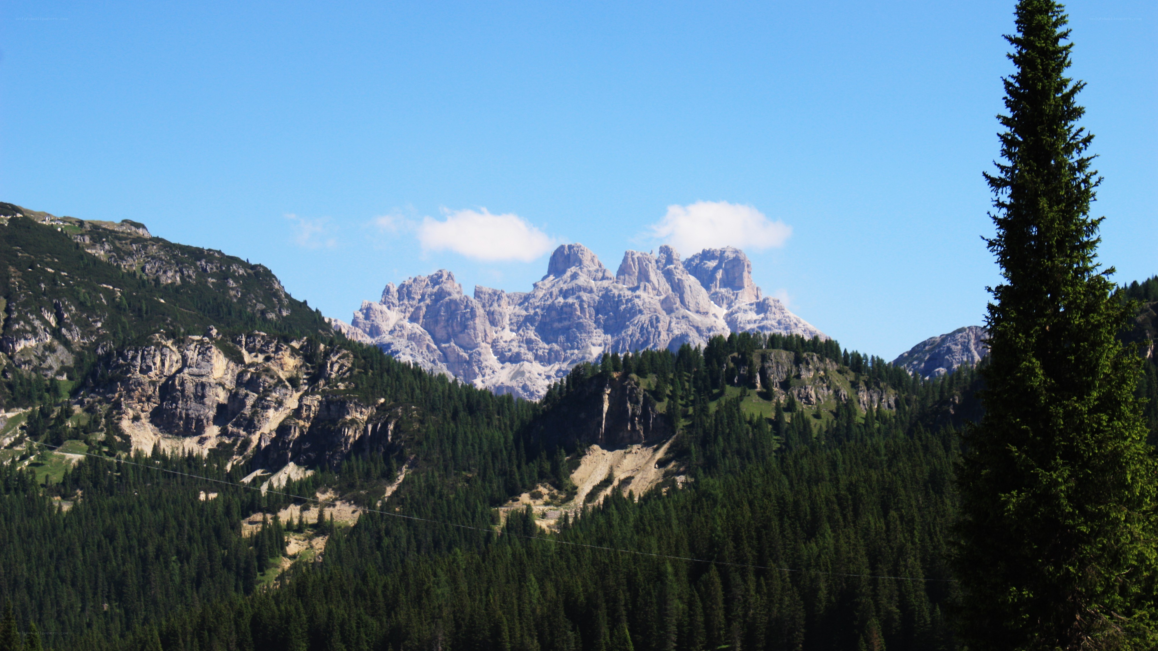 mountain range with forest