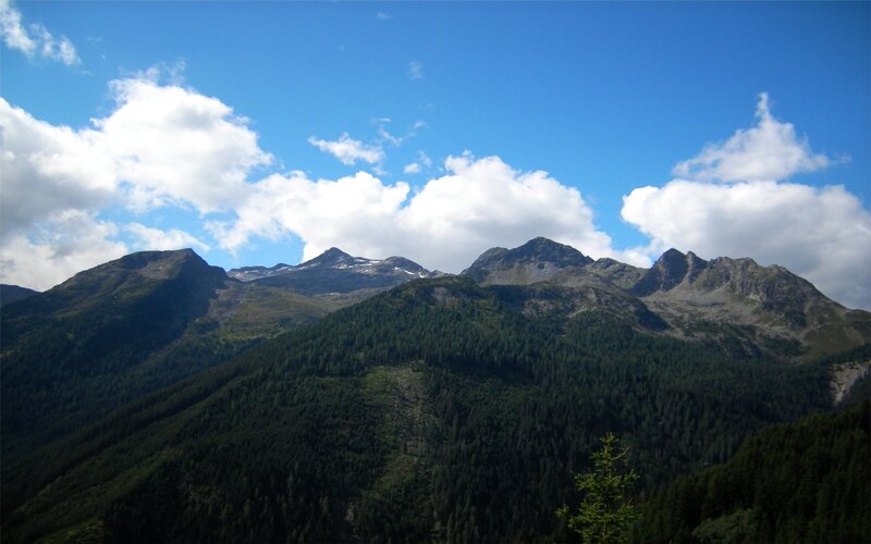 Mountain range with forest and clouds
