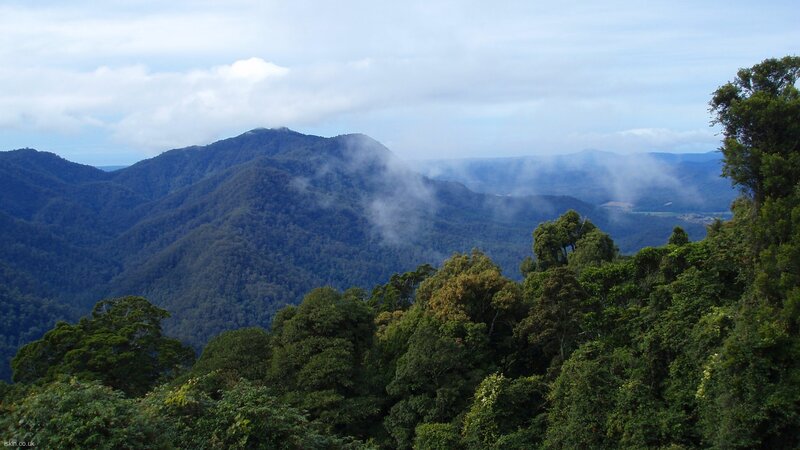 mountain range with forest and mist