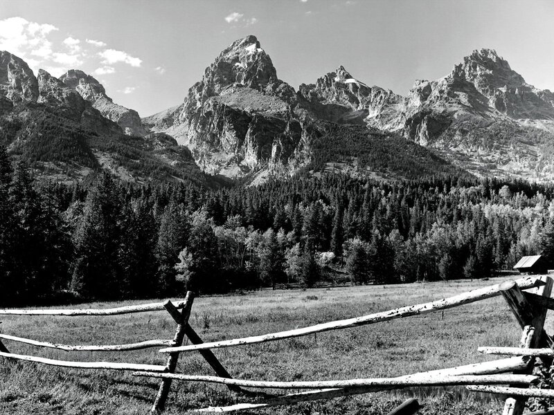Mountain Range with Forest — Black