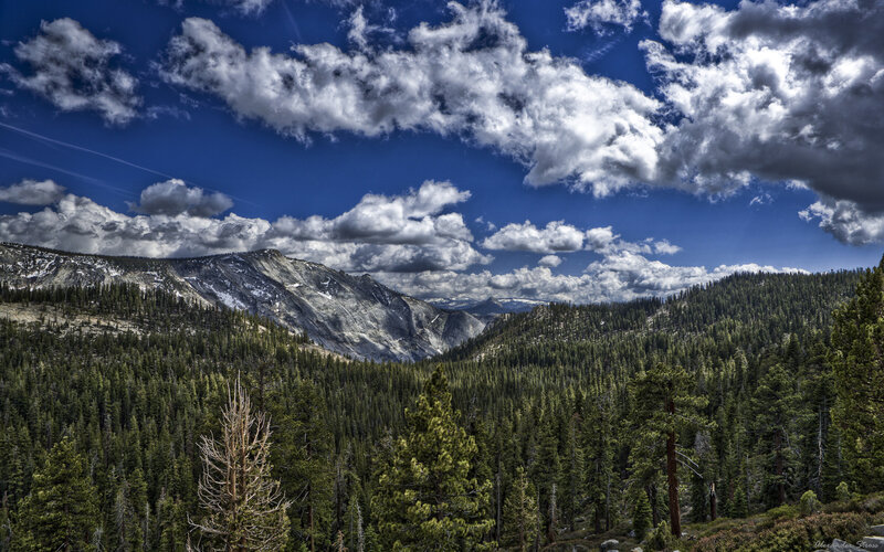 Mountain Range with Forest — Blue, Dramatic, Afternoon, Photograph, Trees, Clouds, Snow