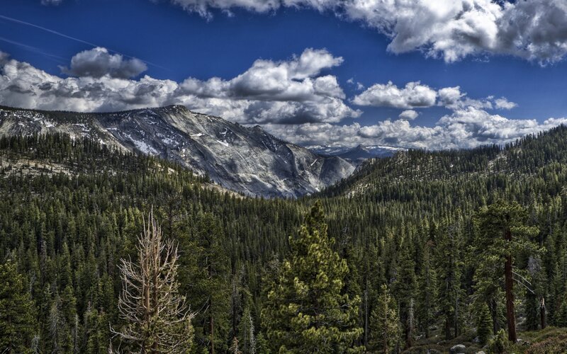 Mountain Range with Forest — Blue, Dramatic, Afternoon
