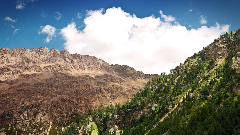 Mountain Range with Forest — Blue, Serene, Afternoon, Photograph, Clouds, Trees