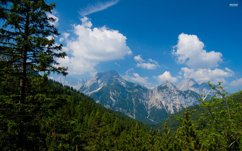 Mountain Range with Forest — Blue, Serene, Afternoon, Photograph