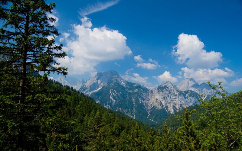 Mountain Range with Forest — Blue, Serene, Afternoon, Photograph, Trees, Clouds