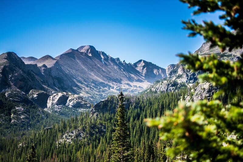 Mountain Range with Forest — Blue, Serene, Afternoon, Photograph, Trees, Mountains