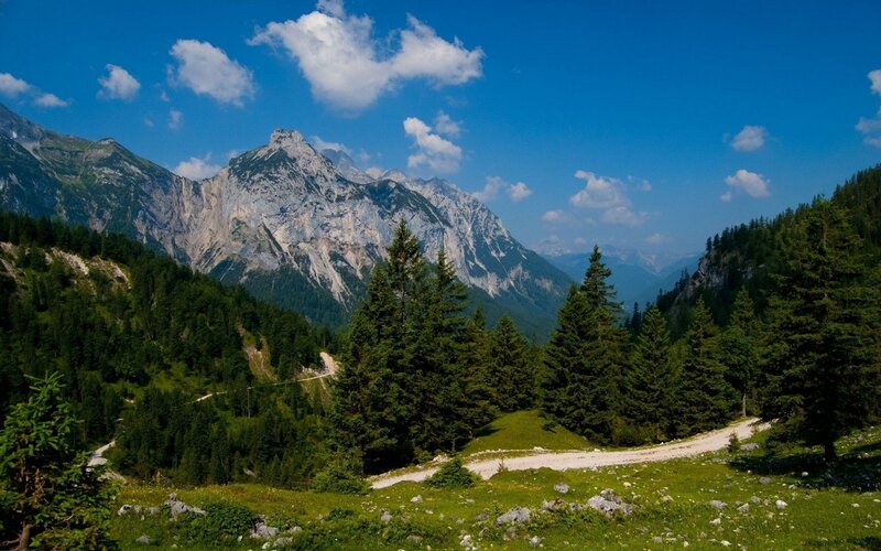 Mountain Range with Forest — Blue, Serene, Afternoon, Photograph, Trees, Path