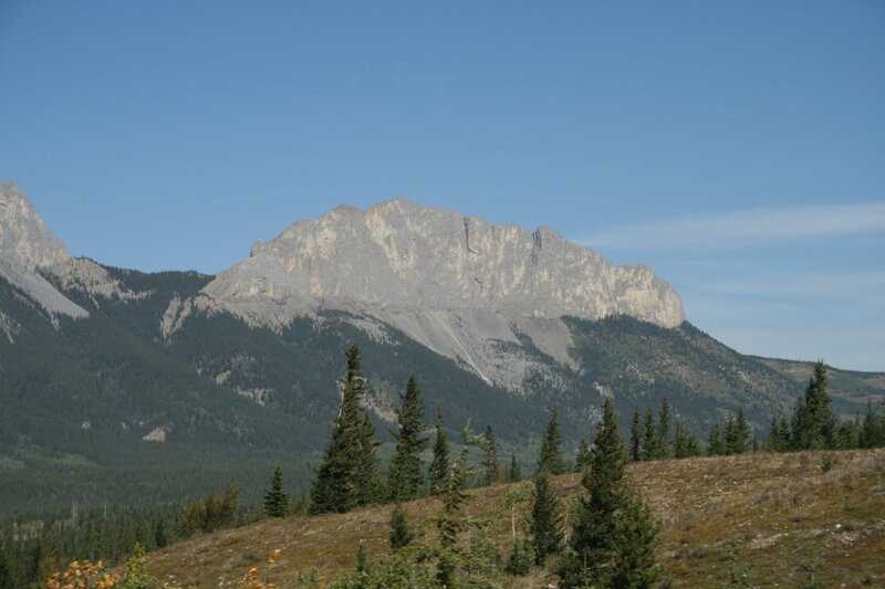 Mountain Range with Forest — Blue, Serene, Afternoon, Photograph, Trees