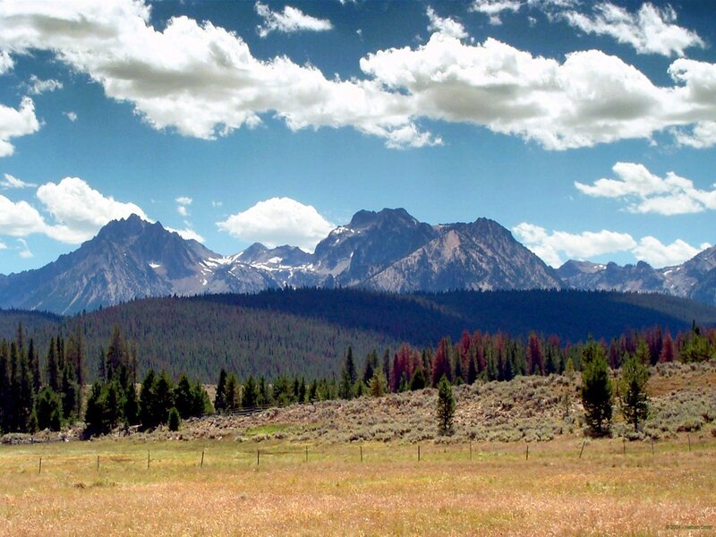 Mountain Range with Forest — Blue